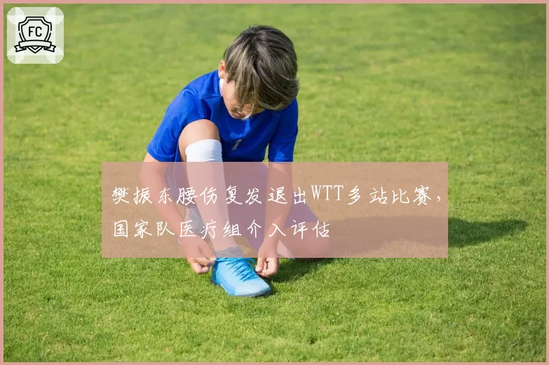 樊振东腰伤复发退出WTT多站比赛，国家队医疗组介入评估