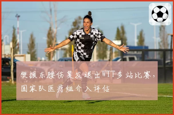樊振东腰伤复发退出WTT多站比赛，国家队医疗组介入评估