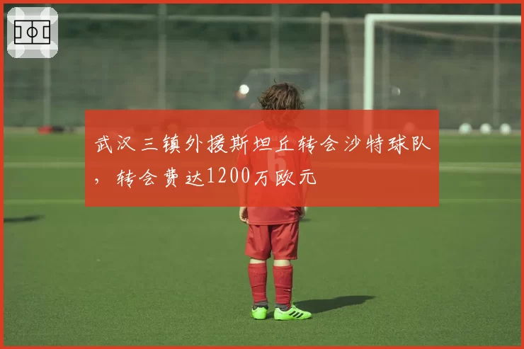武汉三镇外援斯坦丘转会沙特球队，转会费达1200万欧元