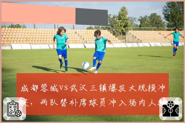 成都蓉城vs武汉三镇爆发大规模冲突，两队替补席球员冲入场内人数达12人