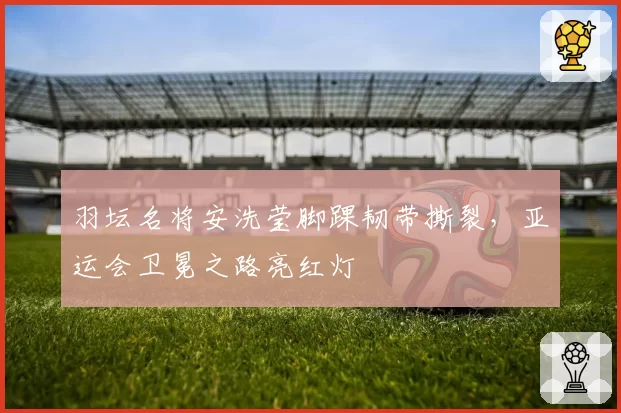 羽坛名将安洗莹脚踝韧带撕裂，亚运会卫冕之路亮红灯